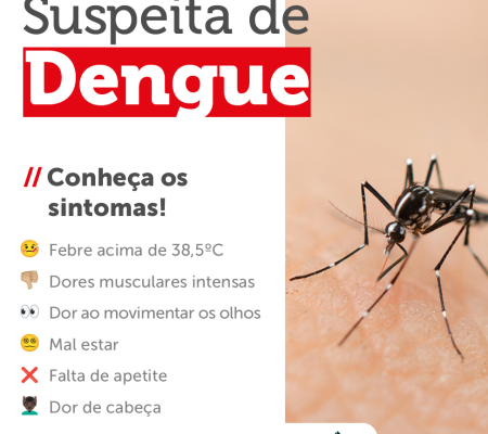 Dengue !