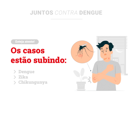 DENGUE  !!!