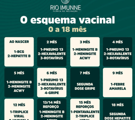 Quadro Vacinal de 0 a 18 meses