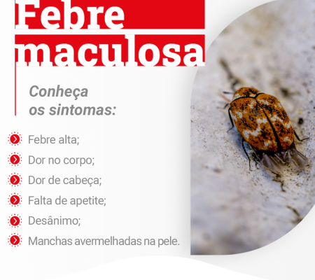Febre Maculosa
